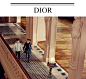 Dior2015秋