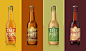 Tree Fort Soda 啤酒标志插画产品包装设计案例参考分享欣赏