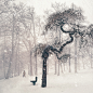bench-branches-cold-fog-foggy-forest-freezing-frosty-frozen-icy-landscape-mist-murky-nature-person-snow-snowstorm-snowy-trees-weather-winter-woods-1484589.jpg (3456×3456)