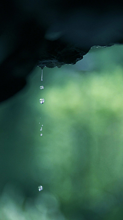 锈春刀采集到雨