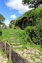 在Matamata，新西兰的霍比特人的房子

Hobbit houses in Matamata, New Zealand