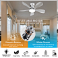 FUMLTP Ceiling Fans with Lights, 33Inch Low Profile Ceiling Fan with Remote and App Control, Flush Mount, DC Reversible Motor, 3CCT Dimmable, Silver Ceiling Fan for Bedroom, Indoor/Outdoor Use - Amazon.com