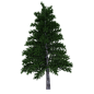 【png】素材、大树，灌木。_png吧_百度贴吧