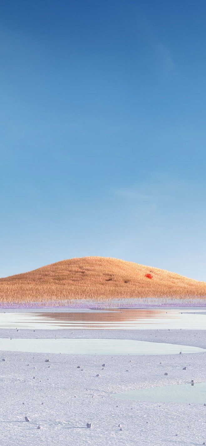 背景