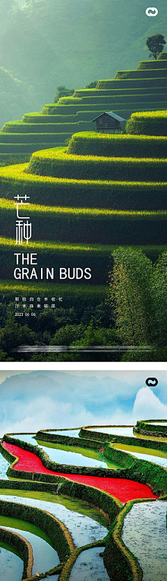 一颗---栗子采集到节气  节日