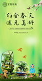 【源文件下载】 海报 地产 活动 绿植 多肉 DIY 389680