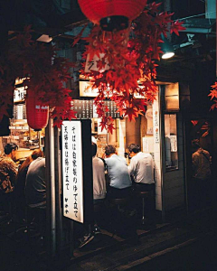 Elenia采集到景