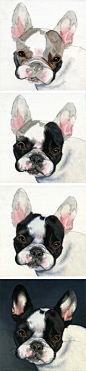 This is Henry, a French Bulldog puppy. The progression of my gouache painting as it went from simple sketch to the finished work of art. To have a portrait painted of your pet, visit leahdaviesart.com