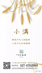 【作品】二十四节气之小满——地产广告