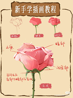 忆芷(破防中)采集到插画教程
