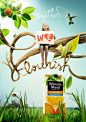 Minute Maid Juice Flourish Advertising Campaign: 
