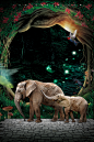 保护野生动物公益海报平面广告_新图网 https://ixintu.com 动物园海报 保护动物 动物协会 爱护动物 动物 动物世界 生态平衡 保护生物 树 大象