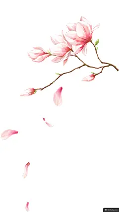 创意水彩手绘粉红色的桃花模板免扣png
