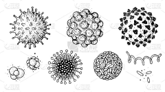 仙人1007采集到生物