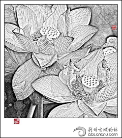 禅静采集到白描花卉