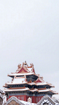 彤阶飞雪，青枝寒酥。
12月11日，北京迎来今冬初雪。

白雪镶红墙，碎碎坠琼芳。
在雪中，故宫安静得不动声色。
琉璃金顶玉尘层叠，
朱墙廊壁银星闪灼。
极目远望，丹宸碧瓦与雪相接，
与天一色。
