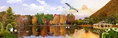 风景挂画 【酷图网】湖泊风景,公园,石板小路,旅游风景,唯美风景背景,花园,公园美景,天空,湖泊,美景如画,樱花,樱花树,桃花,天鹅湖,树,山水画,蓝天,凉亭,拱桥,窗外风景,中式园林,园林美景,美景墙画,花园壁纸壁画,河边风景,别墅花园,中式背景,现代风景,湿地,风景壁画,风景墙布,时尚风景,大气美景,电视背景墙