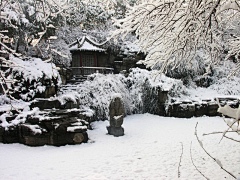 美图共赏采集到2016年第一场雪景