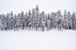 GRAPHICAL LANDSCAPES : Graphic landscapes of Lapland