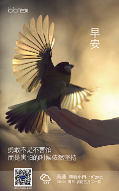 冷~心采集到早安海报