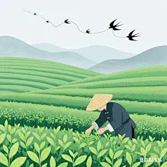 摘茶叶1