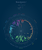 The more the merrier    Dataviz for  wsd2015 challenge