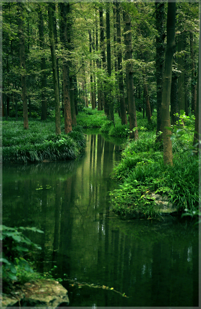 林间风景