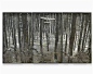 aus dunklen fichten flog ins blau der aar by anselm kiefer