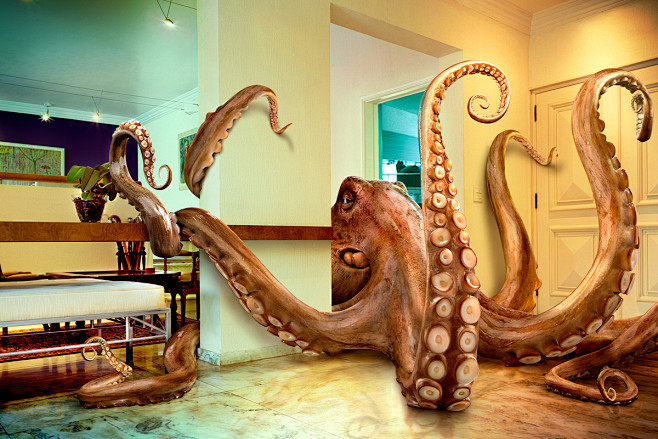 OCTOPUS : An Epic im...