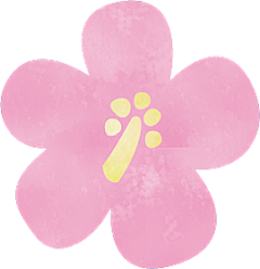 落花思语采集到花