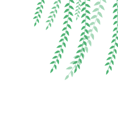 枫蓝1采集到植物元素