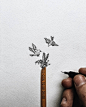 只有笔尖、拇指大小的绘画 / Christian Watson – 灵感邦_Ideabooom