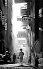 FAN HO/Singboaids street