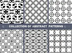 一套无缝花卉图案/收集黑白花卉图案