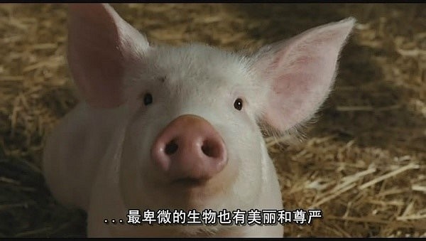 线上活动照片- 截下那句让你喷饭的台词