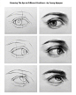 五官 眼睛 素描  绘画素材参考