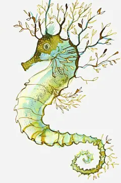 创意海马 免费下载 页面网页 平面电商 创意素材