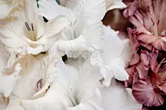 乡村风格,特写,剑兰,木制,非凡的,壁纸,反差,背景,花,排列