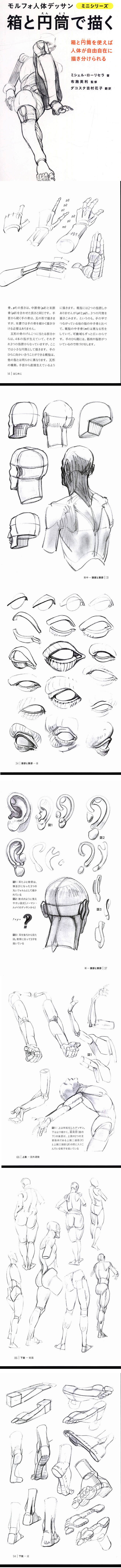 用矩形和圆柱来画 morpho人体素描 ...