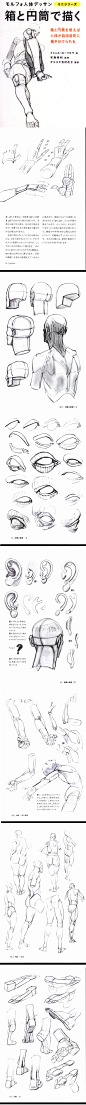 用矩形和圆柱来画 morpho人体素描 线稿 绘画方法 速写临摹参考-淘宝网