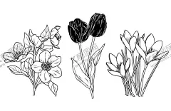 花轮廓 【酷图网】花轮廓,简笔画,手绘画,插图,儿童绘本,黑白图片,勾线图,植物,花朵,鲜花