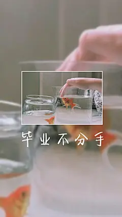 [禁二改禁商用]更多de原创自制壁纸，平铺壁纸，文字壁纸，萌壁纸，锁屏壁纸，英文壁纸，字母壁纸，星空壁纸，星座壁纸，励志壁纸，iPhone壁纸，手机壁纸，电脑壁纸，心情文字，语录，长句，短句，歌词等。更多美美哒的壁纸请关注：Hellerr（底图与文素大多来源网络，侵删）#毕业季##文字壁纸##锁屏壁纸##我爱你##短句长句##心情文字##小清新##iPhone壁纸##屏保##励志壁纸#
