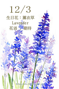 于龑采集到节洁洁