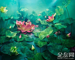 Sunny睿哥采集到梦境