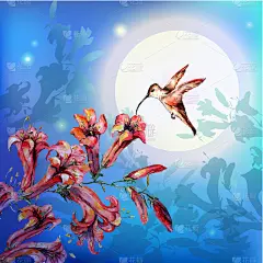 鲜花和蜂鸟鸟