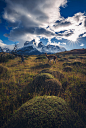 Marco Grassi on Behance