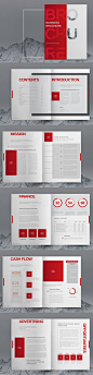 红色 商业 手册 模板 设计素材