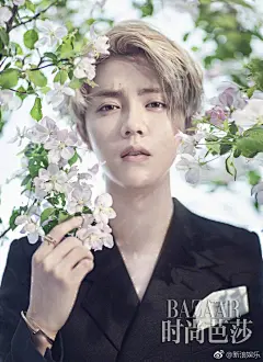 #养眼美图# 鹿晗@M鹿M 最新《时尚芭莎》杂志封面写真，束发造型，白色衬衣，俨然一位贵公子又或身穿黑色西服，搭配樱花春日浪漫气息扑面而来。高清图：O鹿晗束发樱花演绎帅气贵公子 ​​​​