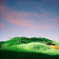 Photo by You Zhang 铕 on July 13, 2022. May be an image of grass and nature.