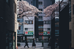 ♀榇忧鍀樾偂♂采集到场景-实景日系